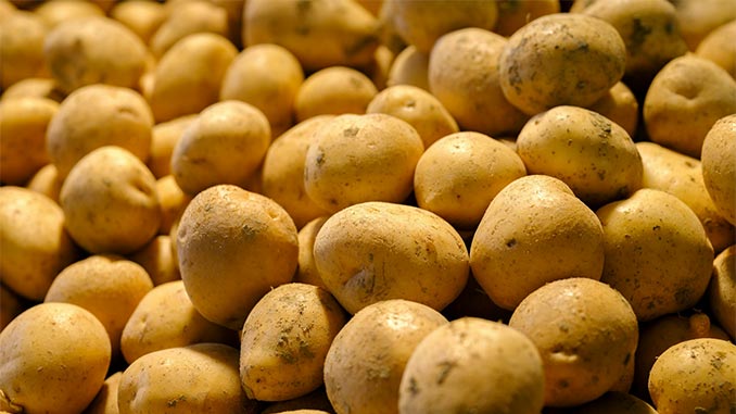 კარტოფილი, წარმოება, სახელმძღვანელო