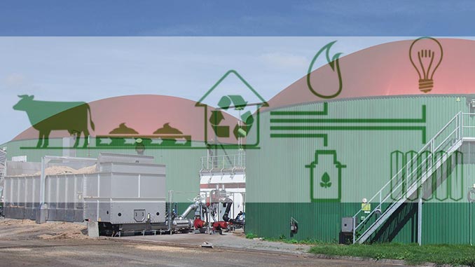 ბიომასა, საქართველო