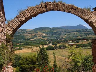 აგროტურიზმი