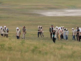 ბიოლოგიური, პესტიციდები