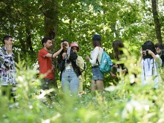 კლიმატის, ელჩები