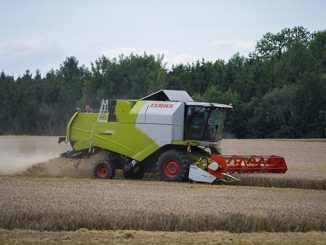 მარცვლეულის