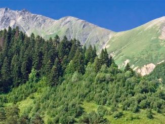 გრანტი, რაჭა