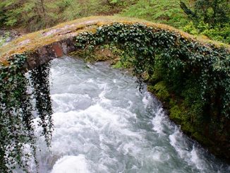 ტურიზმის, რეფორმის