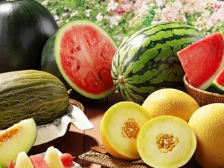 საზამთრო, ნესვი, ნიტრატები