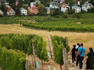 ტურიზმის