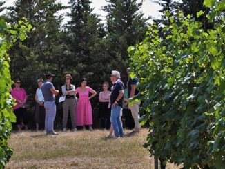 ჯიღაურა