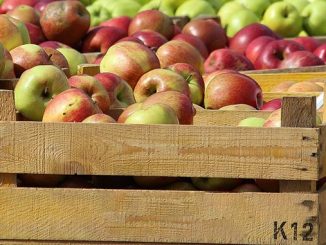 ვაშლზე, სუფსიდია