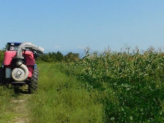 ფაროსანას