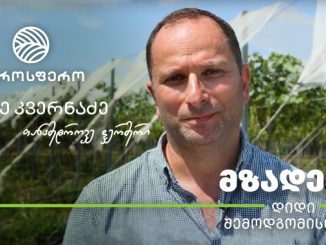 ფერმერი