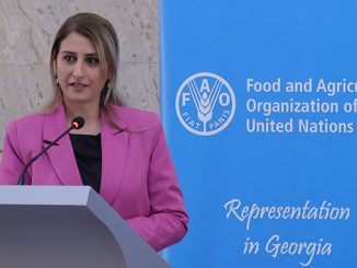 ბაქტერიოფაგები