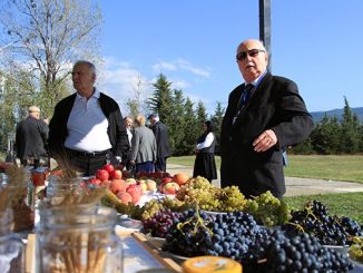 ბიომრავალფეროვნება