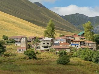 ტრენინგები, ფაო