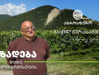 თანამედროვე, ფერმერი