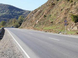 რიკოთის