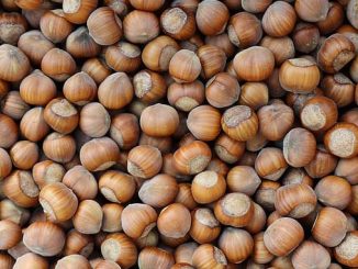 ბიოსერტიფიკატი, თხილი