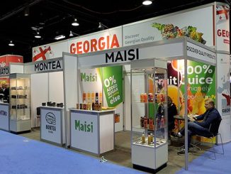 გამოფენაზე