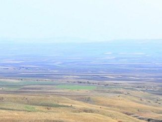 ქარსაფარი