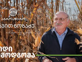 ფერმერი