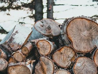 სახერხი