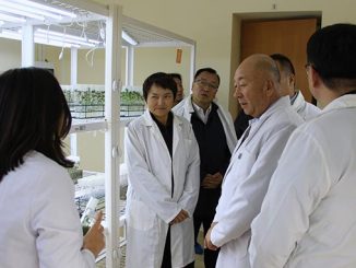 ჩინეთი, კვლევითი, ცენტრი