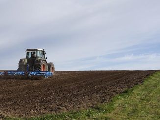 საქართველო, ნიადაგები