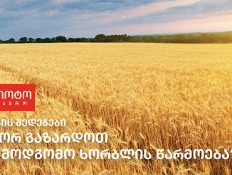 ნატურამინი