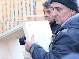 მეფუტკრე