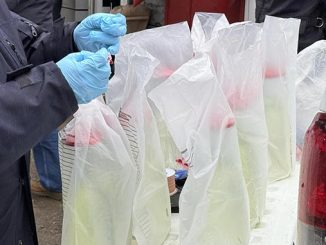 საწვავის, ხარისხი