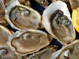 ხამანწკები, სალმონელა