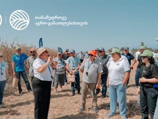 ბაიარენა