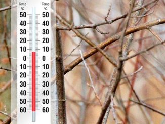 ამინდი, საქართველო