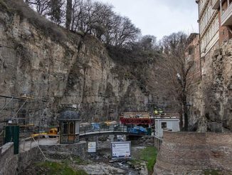 ბოტანიკურ, ბაღში