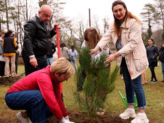 ტყის, საერთაშორისო, დღე