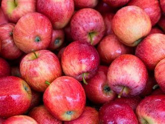 ვაშლი, ექსპორტი, საქართველო