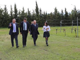 ვაზისა, ღვინის