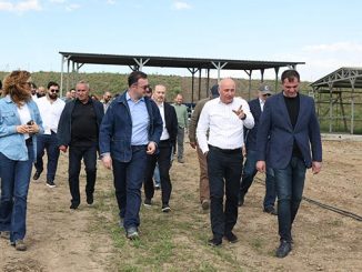 კაკლოვნები, ნუში, მინისტრი