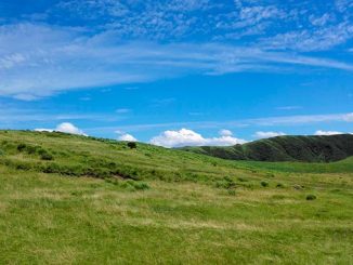 საძოვრები, იჯარა