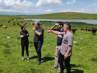 ცხოველთა, გენეტიკური, ბანკი