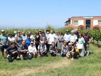 ჯიღაურა, ესპანეთი, კვლევითი