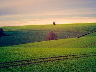 მიწის, საინფორმაციო, სისტემა
