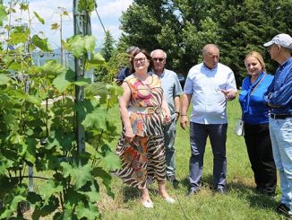 ჯიღაურას, ბაზა