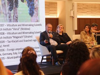 ქართული, ვაზის, ჯიშების, გენოფონდი