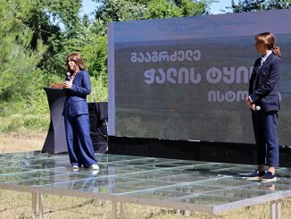 რუსთავის, ჭალის, ტყე