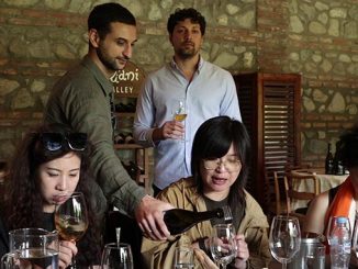 საქართველო, ღვინის, საგანძურია