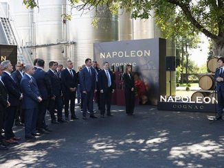 ნაპოლეონი, კონიაკი, საქართველო