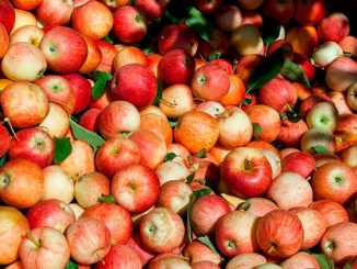 არასტანდარტული, ვაშლი