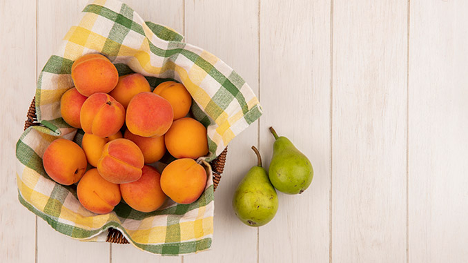 სომხეთი, აგრო, ექსპორტი