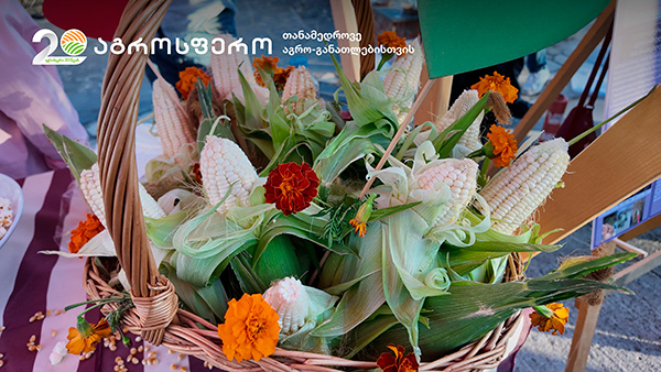 აგროპროექტი, აგროსფერო