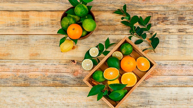 ციტრუსი, მოსავალი